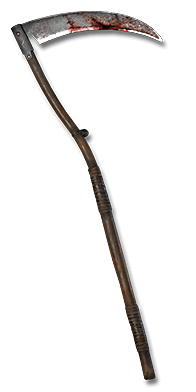 싸이드